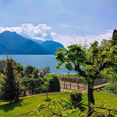 Papepp - אקסריה