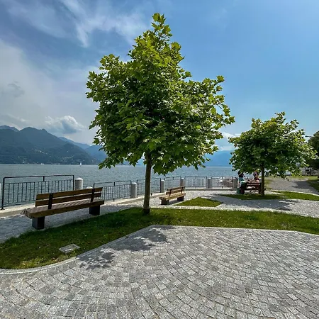 Papepp - * אקסריה